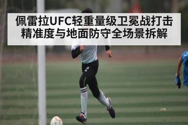 佩雷拉UFC轻重量级卫冕战打击精准度与地面防守全场景拆解